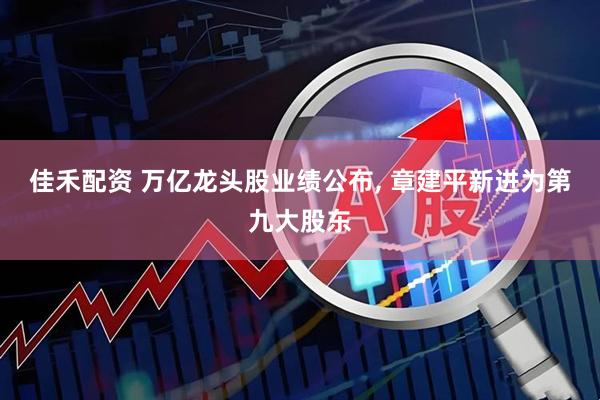 佳禾配资 万亿龙头股业绩公布, 章建平新进为第九大股东
